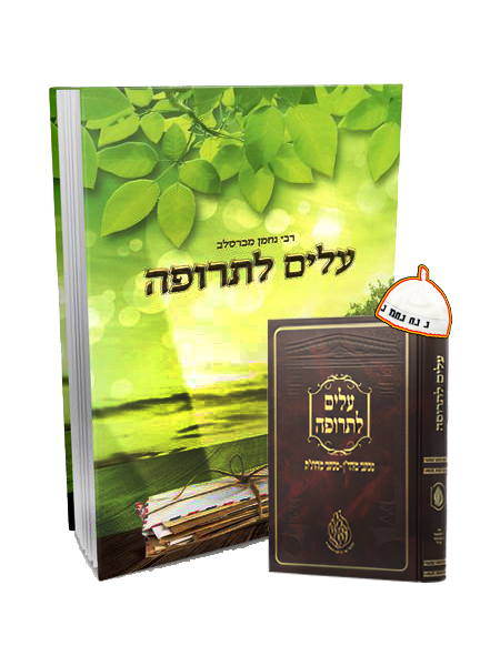 תיאור של התמונה